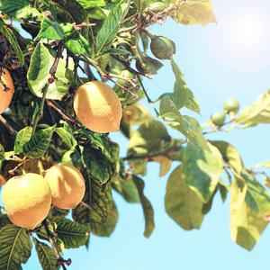 明日香18🈲本子
